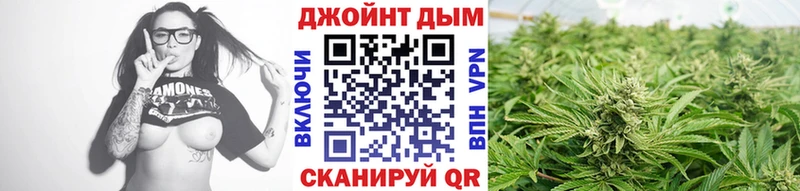 Наркошоп купить АМФ  Бошки Шишки  Меф мяу мяу  СК  Псилоцибиновые грибы  COCAIN  ГАШ  Городовиковск