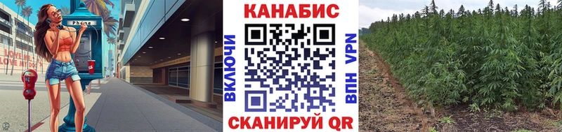 Бошки марихуана Bruce Banner  Купить закладки  Городовиковск 